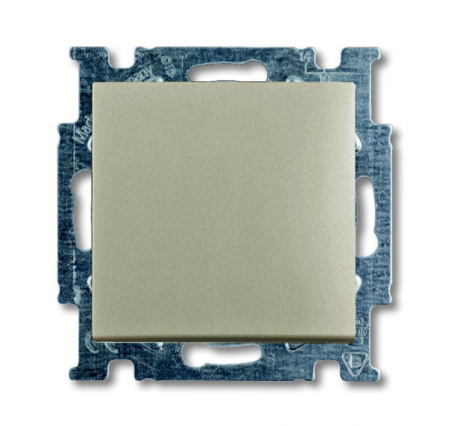 ABB BJB Basic 55 Шамп Выключатель 1-клавишный