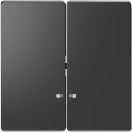Schneider Electric Merten D-Life Антрацит Клавиша 2-ная с линзой для LED модуля