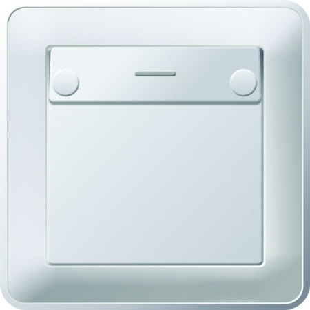Systeme Electric Wessen 59 Шампань Выключатель карточный 16А (в сборе, с рамкой)