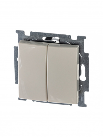 ABB BJB Basic 55 Беж Выключатель 2-х клавишный