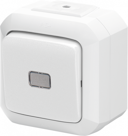 ABB Variant+ Белый Переключатель одноклавишный с прозрачной линзой, IP54